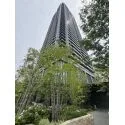 シエリアタワー大阪堀江 46階建て総戸数500戸のタワー型マンション