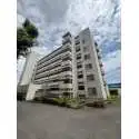保谷パークハウスＡ棟 外観