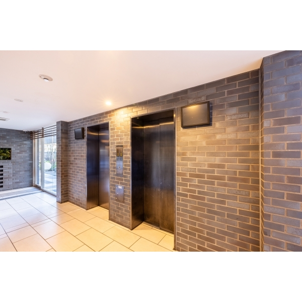 エステムコート川口並木サウスガーデン その他画像