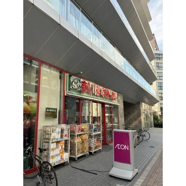 スカイコート蒲田駅前 その他画像