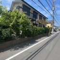 松戸市緑ケ丘１丁目 南東側約8.0m公道