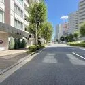 ジオ西新宿ツインレジデンス 前面道路（２０２６年９月撮影）
