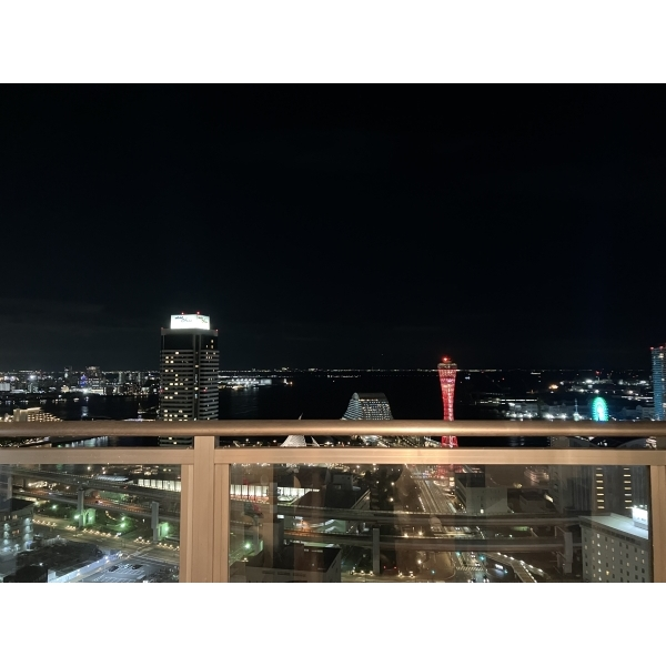 ライオンズタワー神戸元町 その他画像