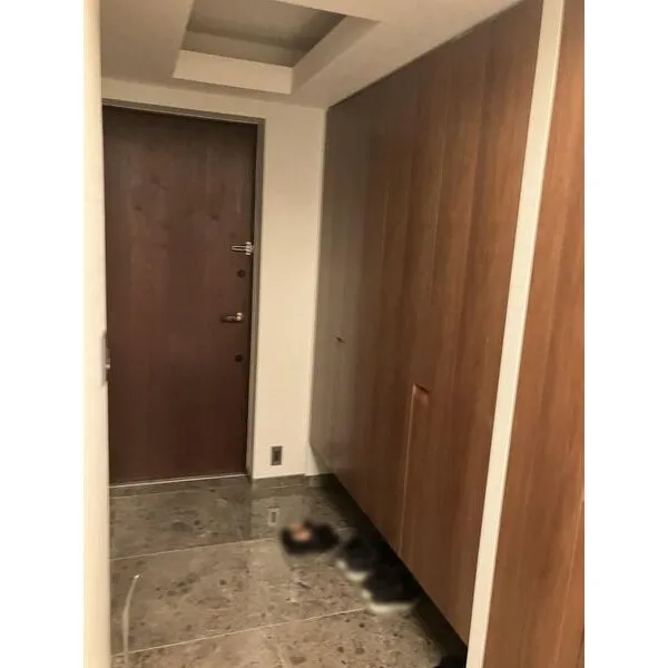 グランドヒルズ元麻布 その他画像