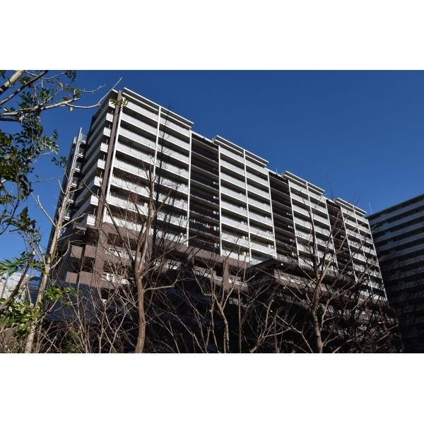 亀戸レジデンス その他画像