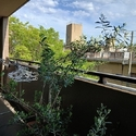 モンセーヌ住吉川公園１番館 その他画像