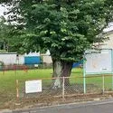 流山市青田 その他画像