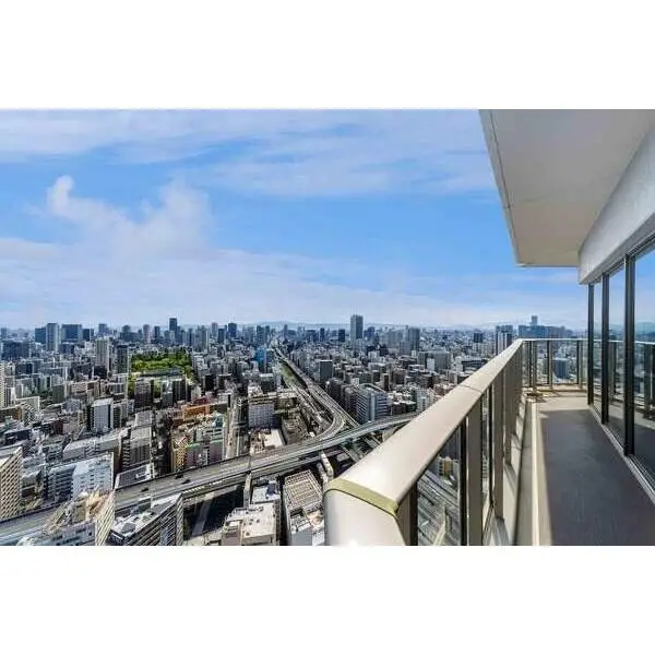 阿波座ライズタワーズフラッグ４６　ＯＭＰタワー その他画像