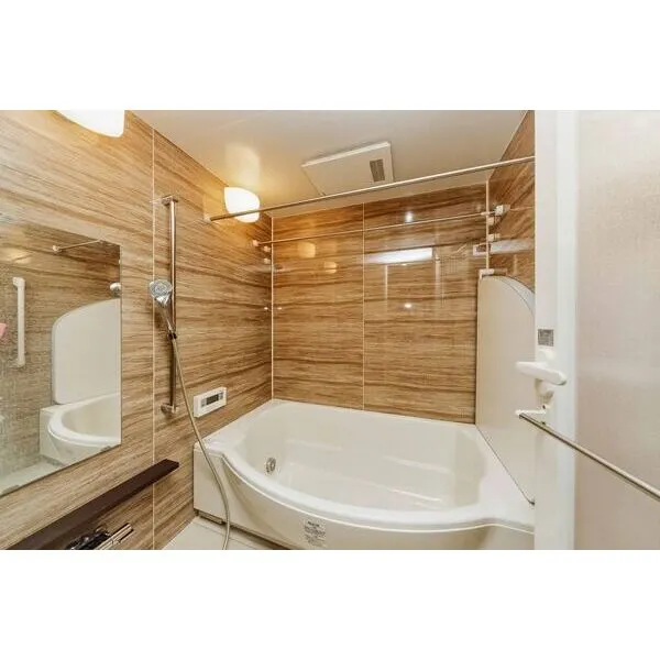 阿波座ライズタワーズフラッグ４６　ＯＭＰタワー その他画像