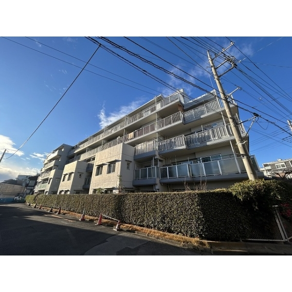 ベルクール南浦和 その他画像