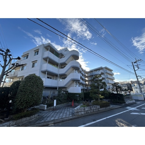 ベルクール南浦和 その他画像