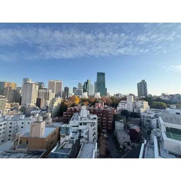 ザ・パークハウス赤坂レジデンス その他画像