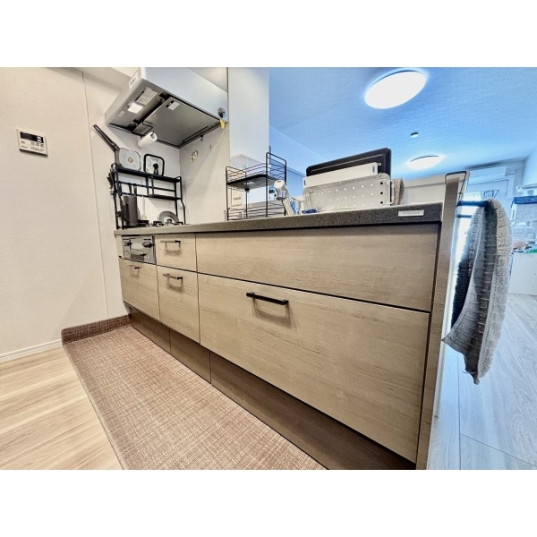 原木中山ファミールハイツ１号館 その他画像