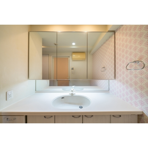 ライオンズステーションプラザ栗平 その他画像