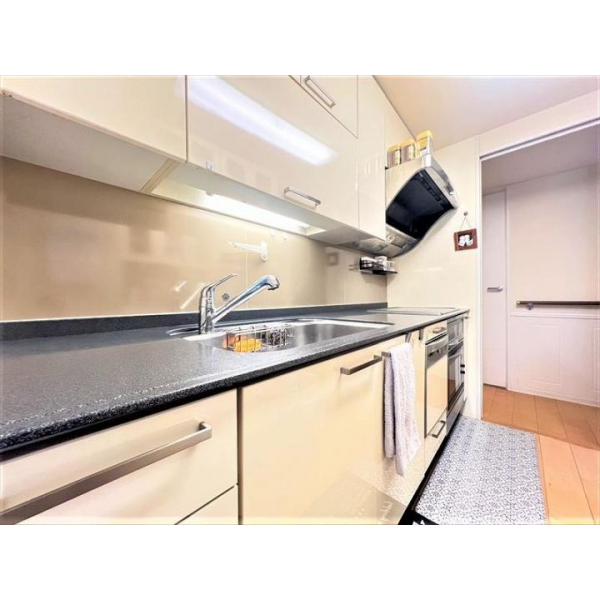 パークホームズ福島エルグレース その他画像