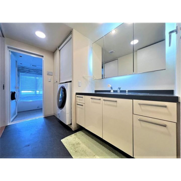 パークホームズ福島エルグレース その他画像