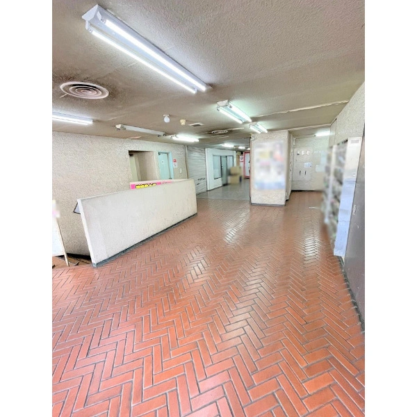 サン市川ハイツ その他画像
