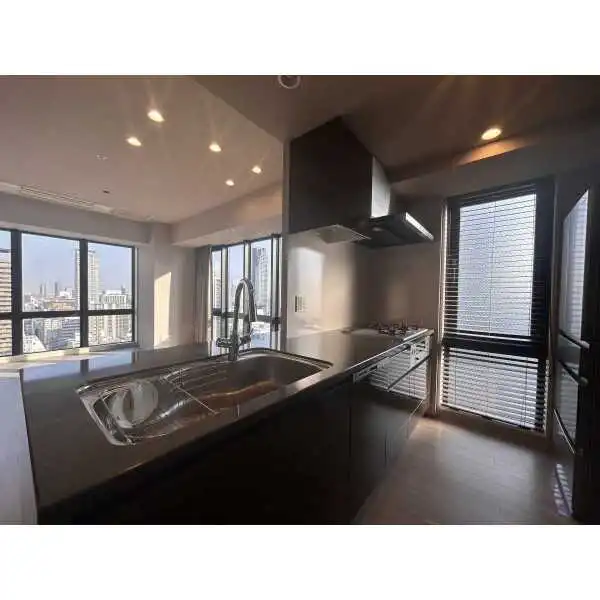 クレヴィアタワー御堂筋本町 その他画像