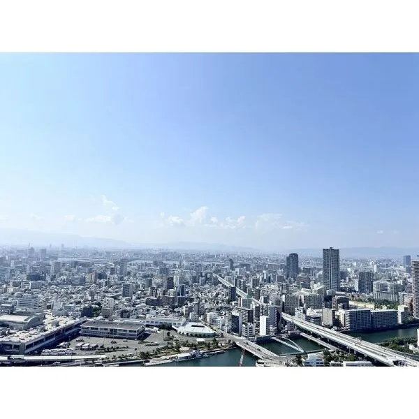 阿波座ライズタワーズフラッグ４６ 43階部分の為眺望良好