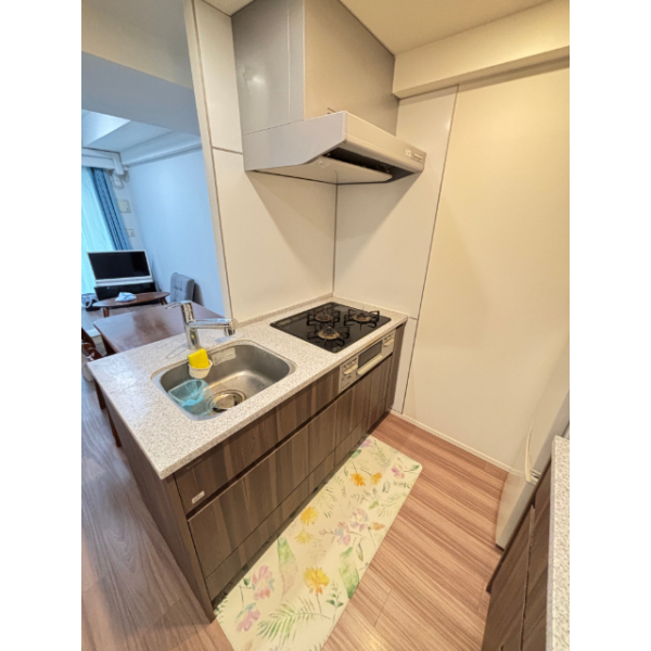 リビオレゾン板橋本町ステーションサイド その他画像