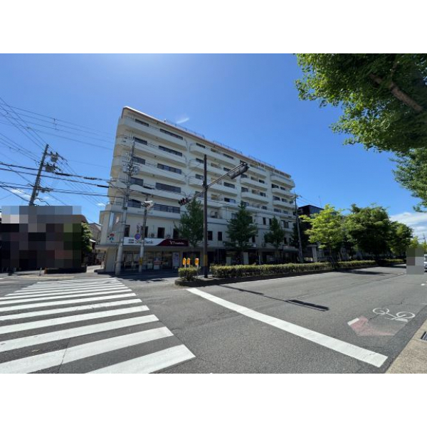 鴨東ロイヤルハイツ 外観