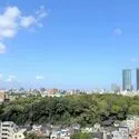 アトラスアベニュー文京大塚 その他画像
