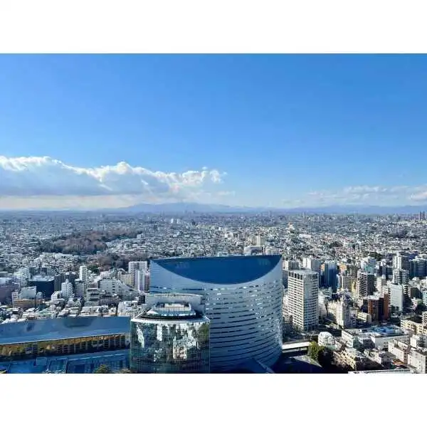 ブリリアタワーズ目黒サウスレジデンス その他画像