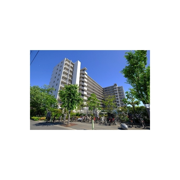シャリエ平野 外観
