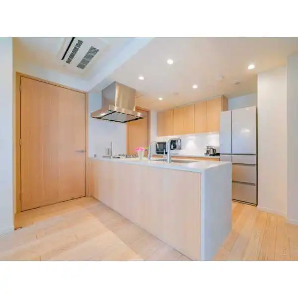 ザ・レジデンス六本木 その他画像