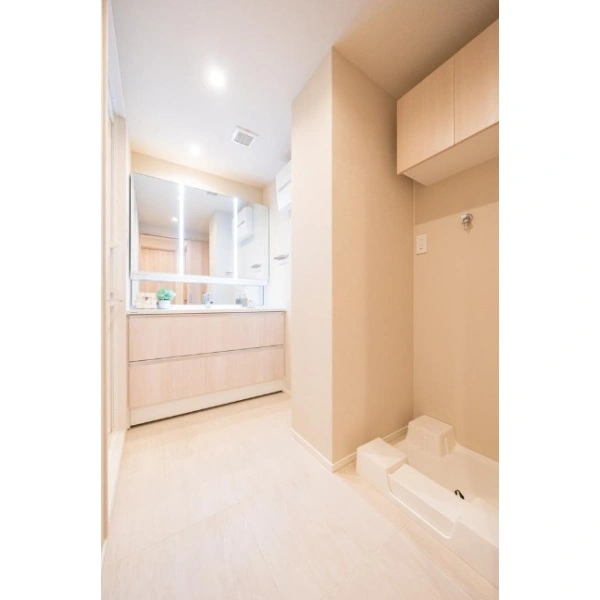 中野桃園シティハウス 洗面室