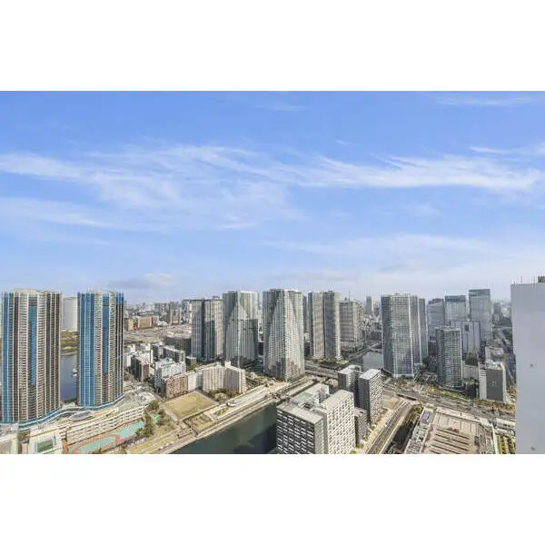 ＨＡＲＵＭＩ　ＦＬＡＧ　ＳＵＮ　ＶＩＬＬＡＧＥ　Ｔ棟　（晴海フラッグサンヴィレッジ） その他画像