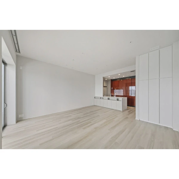 ＨＡＲＵＭＩ　ＦＬＡＧ　ＳＵＮ　ＶＩＬＬＡＧＥ　Ｔ棟　（晴海フラッグサンヴィレッジ） その他画像