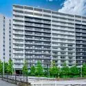 シティテラス金町 緑豊かな植栽に囲まれた大規模レジデンス。公園や商業施設が身近な、生活利便性の高い住環境です。