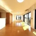 ライオンズマンション大倉山新羽町 南側バルコニーからの眺望