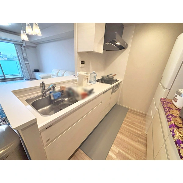 リビオシティ・ルネ葛西 その他画像