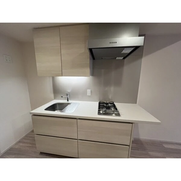 ザ・パークワンズ渋谷本町 その他画像