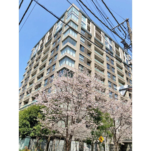 三番町パークテラス桜苑 外観