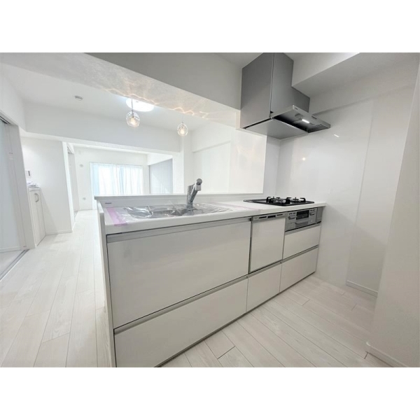 武蔵野スカイハイツＡ その他画像