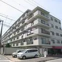 エンゼルハイム日吉 【間取り】南西向きバルコニー、陽当たり良好！