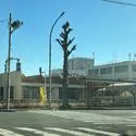 千葉市花見川区さつきが丘１丁目 トップマートさつきが丘店（スーパー）まで約590m（徒歩8分）