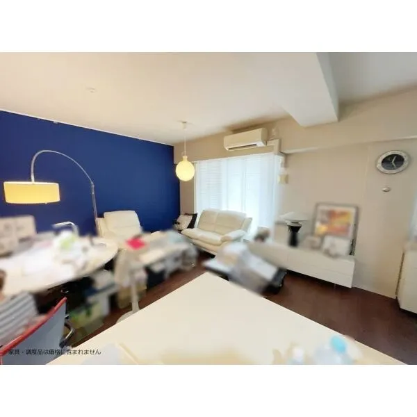 ユーカリが丘スカイプラザ・ミライアタワー 家具・調度品は価格に含まれません