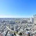 ザ・パークハウス西新宿タワー６０ その他画像