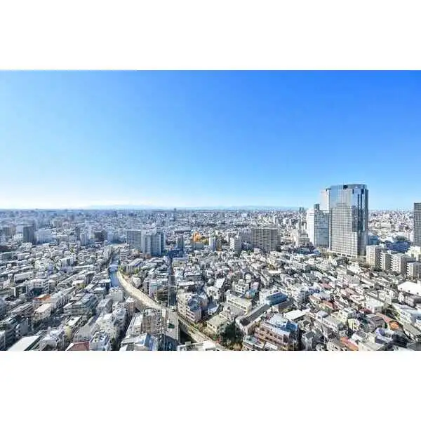 ザ・パークハウス西新宿タワー６０ その他画像