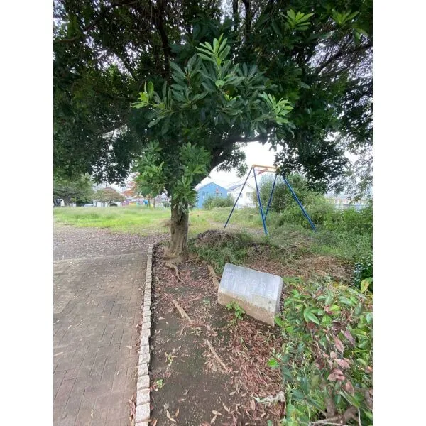 相模原市中央区宮下本町2丁目 宮下さくら公園(公園)まで約650m(徒歩9分)