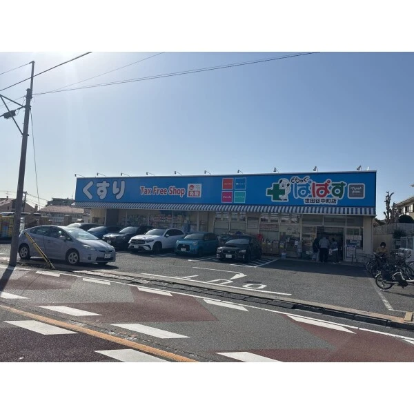 世田谷区等々力７丁目 どらっぐぱぱす世田谷中町店（ドラッグストア）まで約650m（徒歩9分）