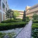 鷺宮ヒルズ 中庭