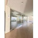 グリーンパークお花茶屋 その他画像