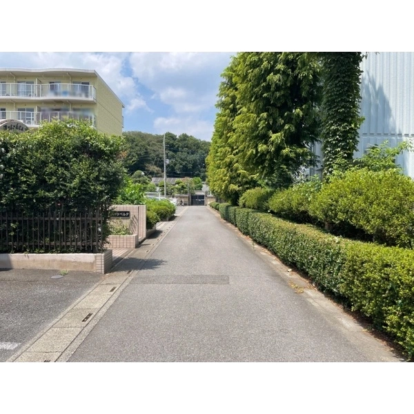 さいたま市見沼区大和田町２丁目 東側前面道路