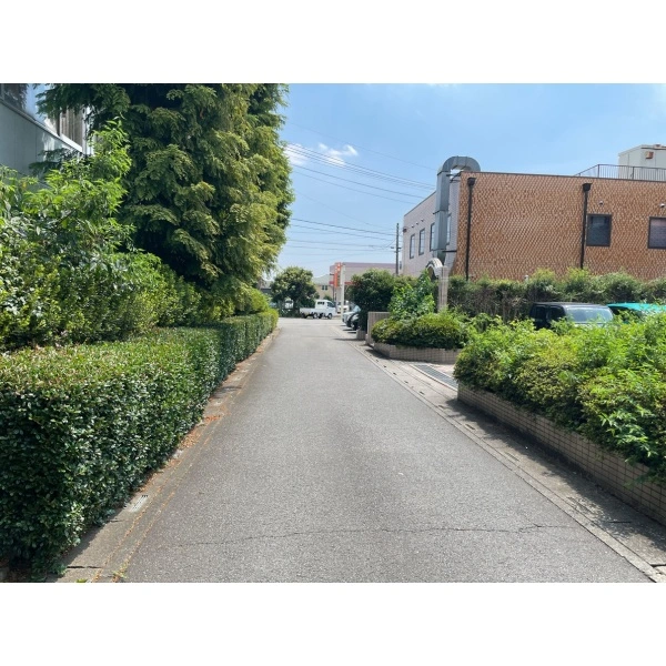 さいたま市見沼区大和田町２丁目 東側前面道路