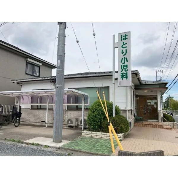 さいたま市見沼区大和田町2丁目 羽鳥小児科医院(病院)まで約950m(徒歩12分)